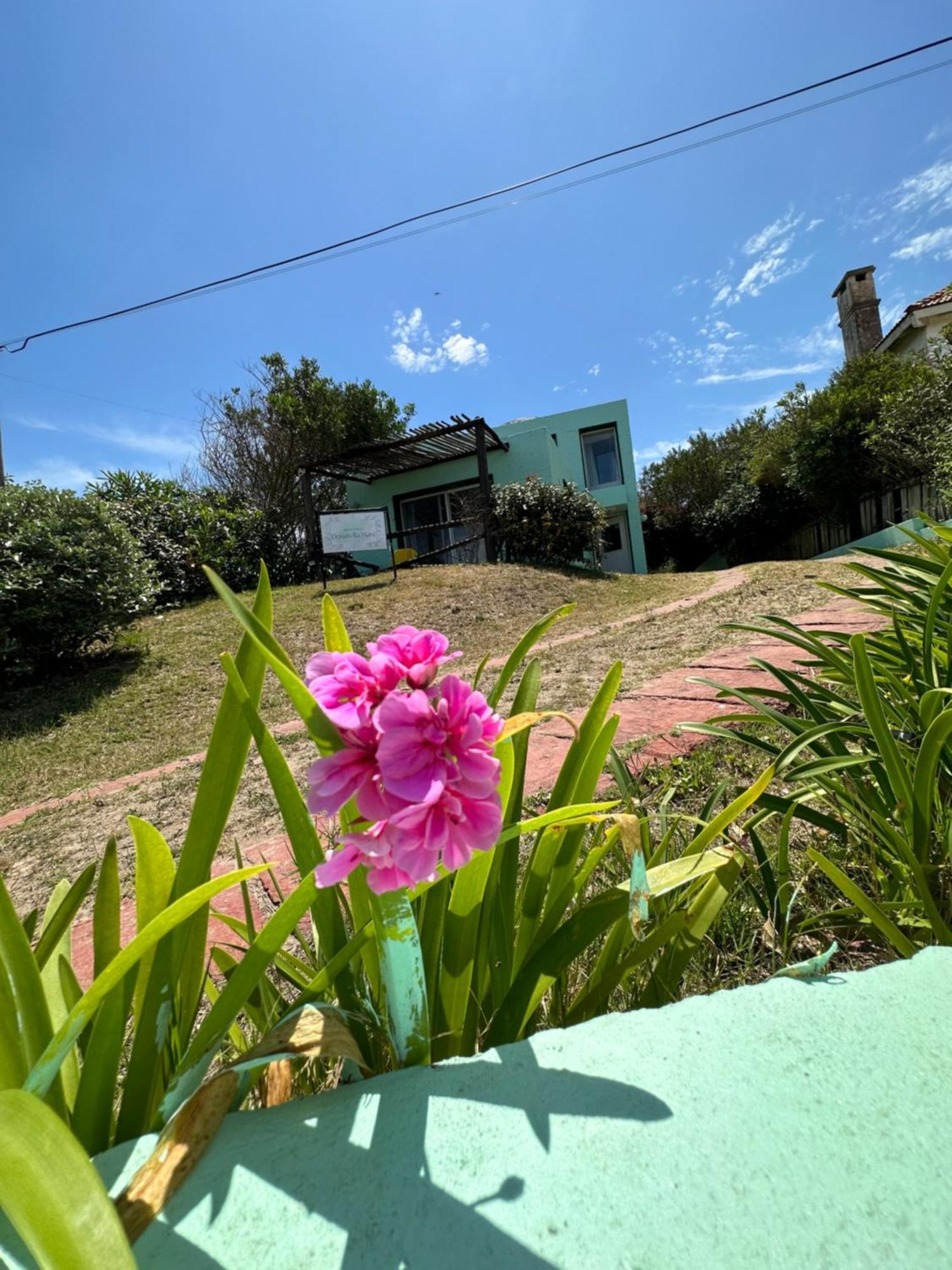 Hotel Beach La Barra Punta del Este Exterior photo